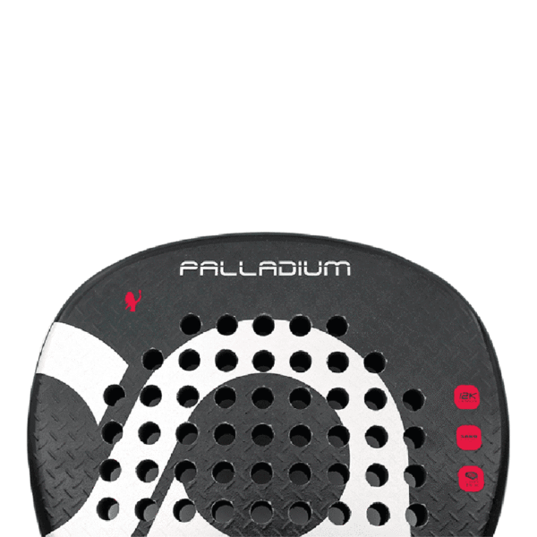 ACA PALLADIUM - Imagen 4